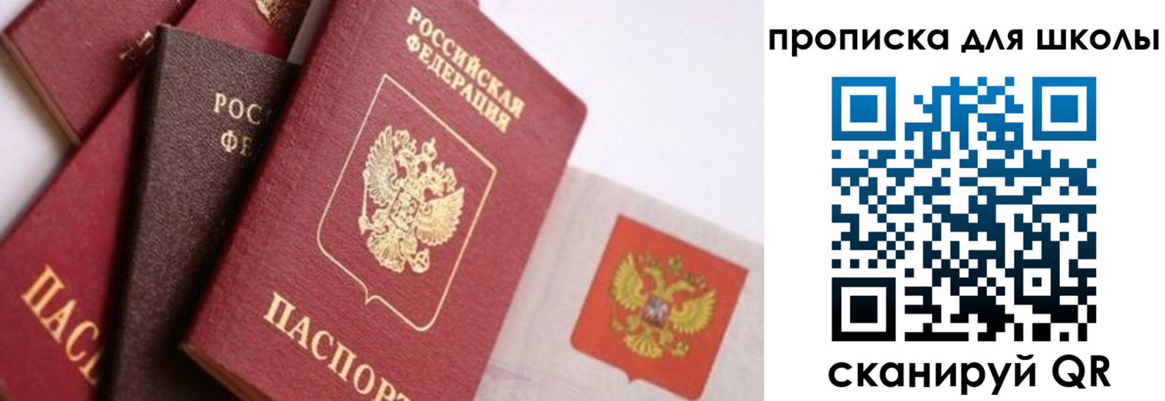 прописка поиск в Осе